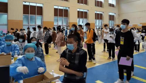 邢菲最新爆料消息新闻报道,揭秘演艺圈幕后真相