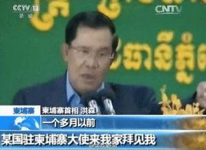 柬埔寨新闻爆料视频,柬埔寨新闻爆料视频揭露惊人内幕